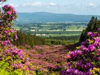 Tipperary – Ireland’s Historic Heartland of Rolling Hills and Heritage