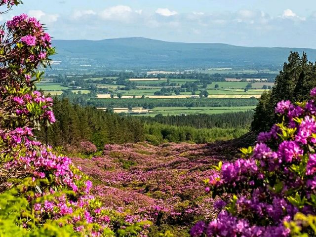 Tipperary – Ireland’s Historic Heartland of Rolling Hills and Heritage