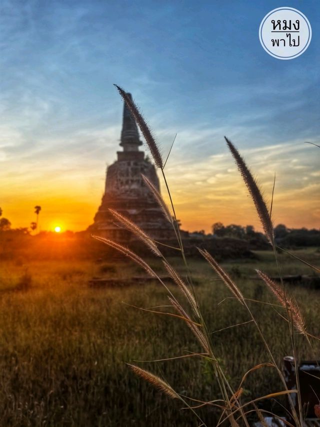 วัดช้าง อยุธยา: โบราณสถานเงียบสงบข้างวัดมเหยงคณ์