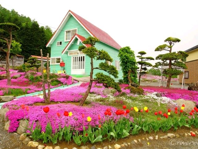 【北海道】個人宅の庭が会場！倶知安名物「三島さんの芝桜庭園」
