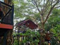 ซันโต๊ดคาเฟ่(บ้านต้นไม้ นครปฐม)คาเฟ่ลับๆ