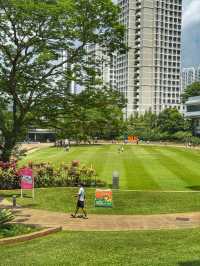 Brains and Beauty: A Scenic Stroll Through NUS