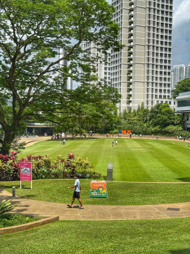 Brains and Beauty: A Scenic Stroll Through NUS