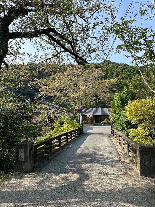 Akizuki Town in Spring
