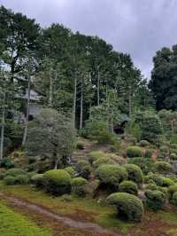 Hanging Out at Tofukuji 
