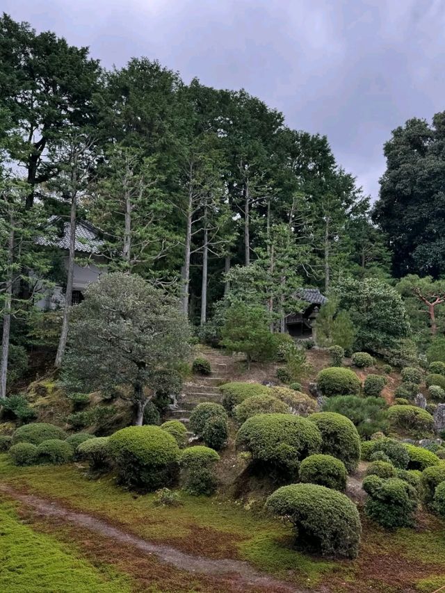 Hanging Out at Tofukuji 