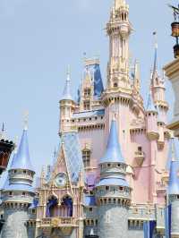 Disney Dreams Come True: A Day at the Kingdom!