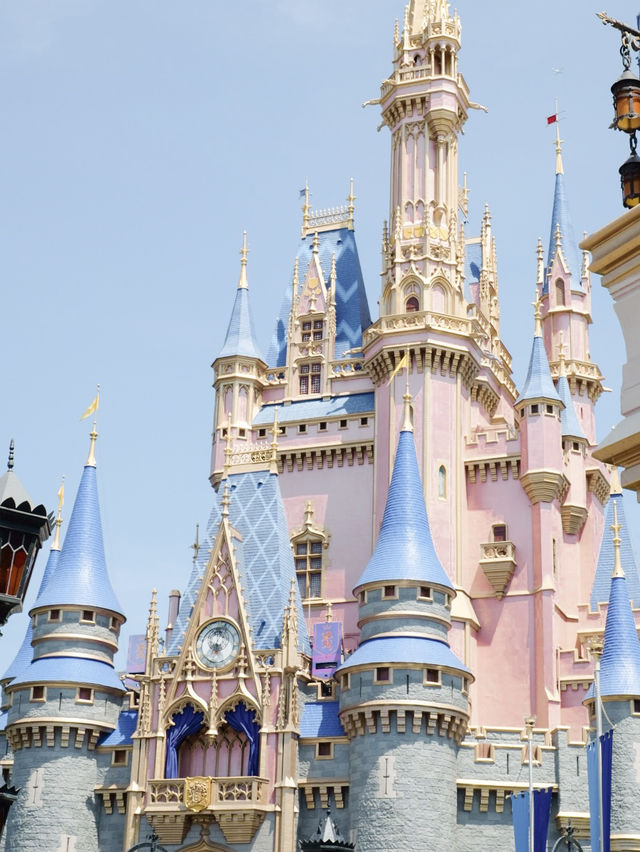 Disney Dreams Come True: A Day at the Kingdom!