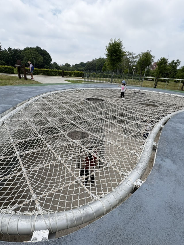 嘉義 北香湖公園 植物生態超豐富 還有兒童遊戲場可以放電！