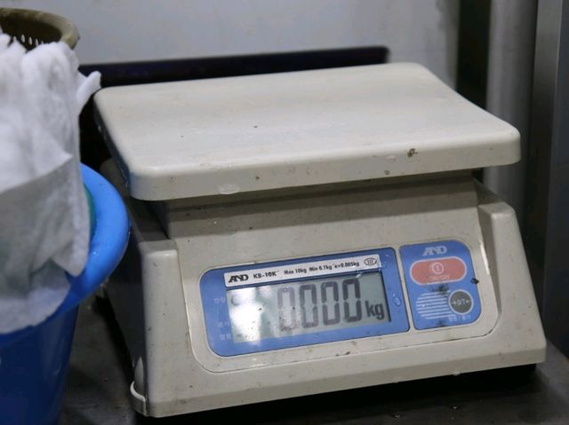 울릉도여행 브이로그
