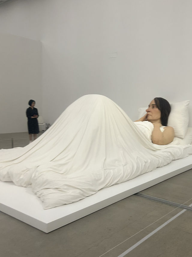🎨 도심 속 여백을 만나는 시간, 국립현대미술관 서울관