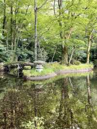 A Slow Stroll Through Gifu – Nature, History & Calm