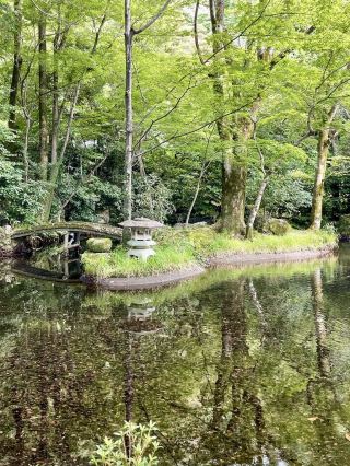 A Slow Stroll Through Gifu – Nature, History & Calm
