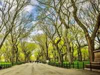 Central Park