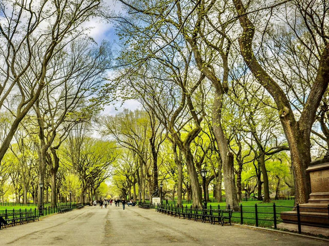 Central Park