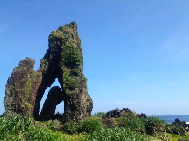 🏝️蘭嶼