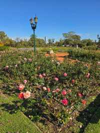 해외여행 부에노스아이레스의 장미공원 El Rosedal Garden
