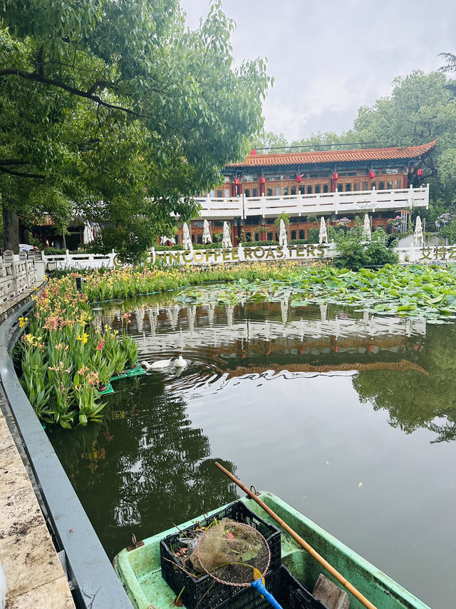🌸 A Bloom-Filled Getaway to China’s Eternal Spring City🌸