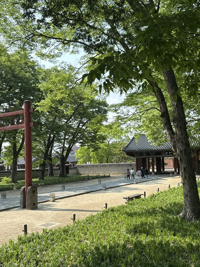 전주 경기전, 봄 감성 가득한 산책 코스🌸