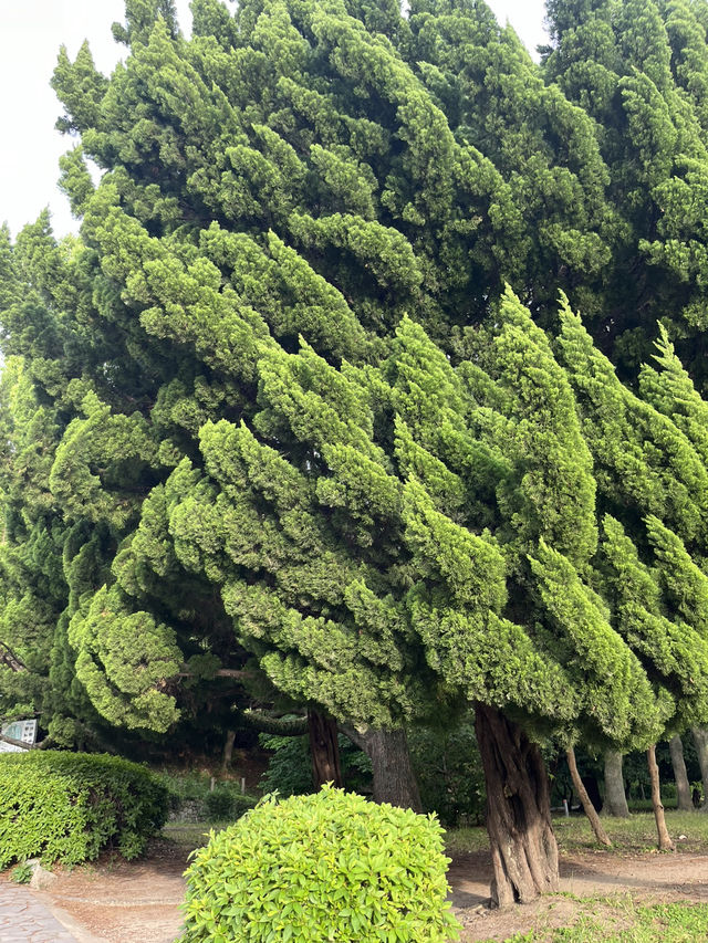 Ohori Park