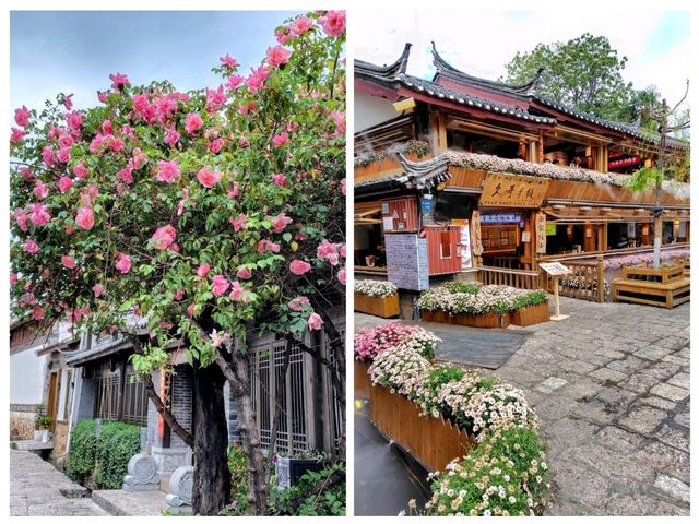 花の町、世界遺産麗江