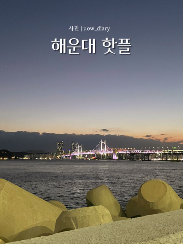해운대 핫플 여행지 추천! (1편) 🌊🐳🦀