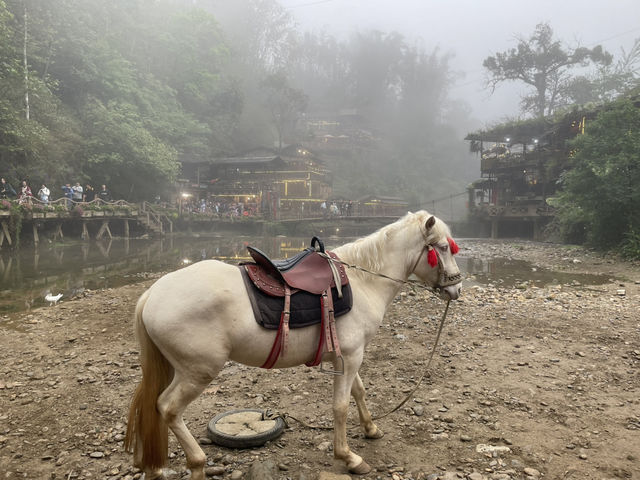 Cat Cat村歷史文化的遺跡