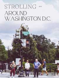D.C. Diaries: Chill Walks & Sweet Treats