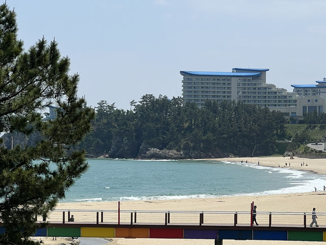 추암 해변 바위들과 바다