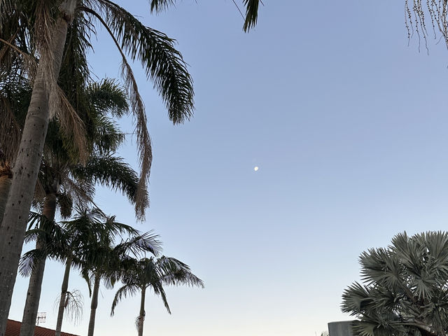 三天兩夜Port Stephens小旅行