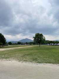｜韓國｜慶州瞻星臺경주 첨성대