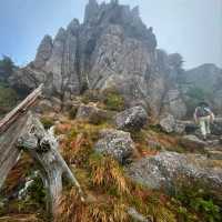 Jirisan Summit Was a Beast (But Worth It)
