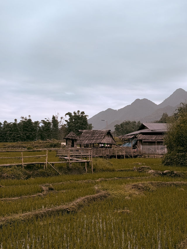 3 Days in TT. Sa Pa