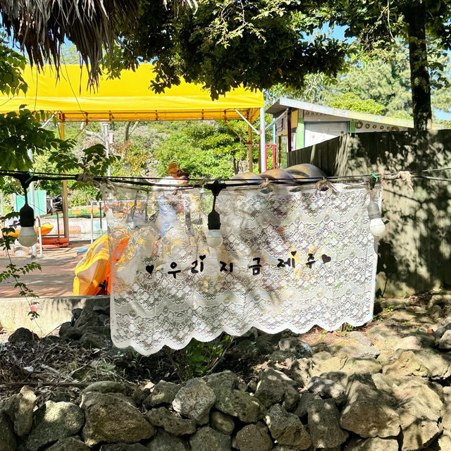 Jeju Island's Must-Try: The Secret Jungle Boating Park! 🌴🛶