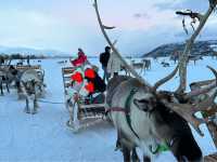 Chasing Magic in Tromsø: 4 Unforgettable Arctic Experiences