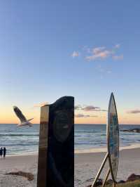 Sunset waves 