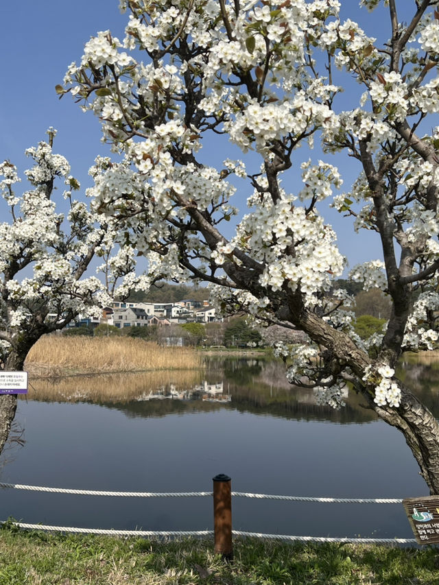 아산여행