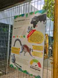 Where Wild Encounters & Thrilling Shows Await! 🦒🦜