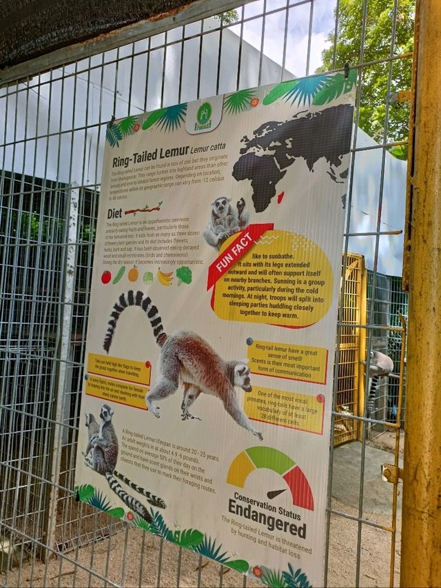 Where Wild Encounters & Thrilling Shows Await! 🦒🦜