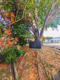 A Gathering of Restaurants and Bars - Gillman Barracks 