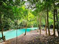 🏞️ สวนรุกขชาติวังก้านเหลือง เที่ยวลพบุรี