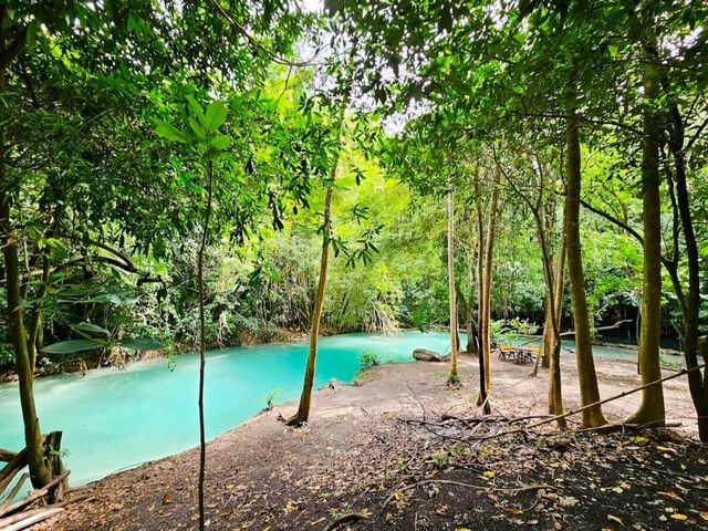 🏞️ สวนรุกขชาติวังก้านเหลือง เที่ยวลพบุรี