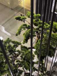 A quiet reset at Yamato Hostel