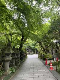Visit temple in Fukuoka Japan