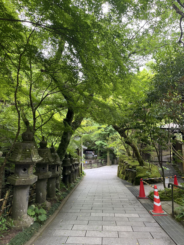 Visit temple in Fukuoka Japan