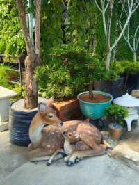 A Touch of Nature in the City – Budget Garden Spot in Hong Kong