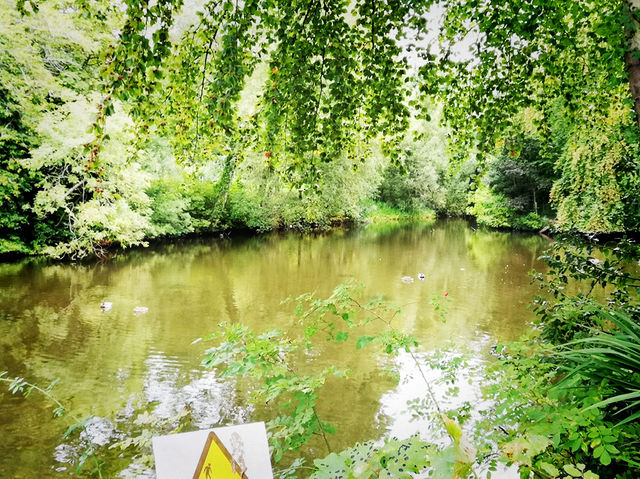 Summer Vacation at Dublin Zoo – A Wild Day in the Heart of the City