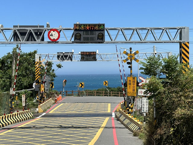 台東藍