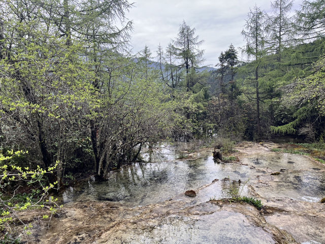 🏞️ Huanglong National Scenic Area – Fairyland at 3,500m Altitude