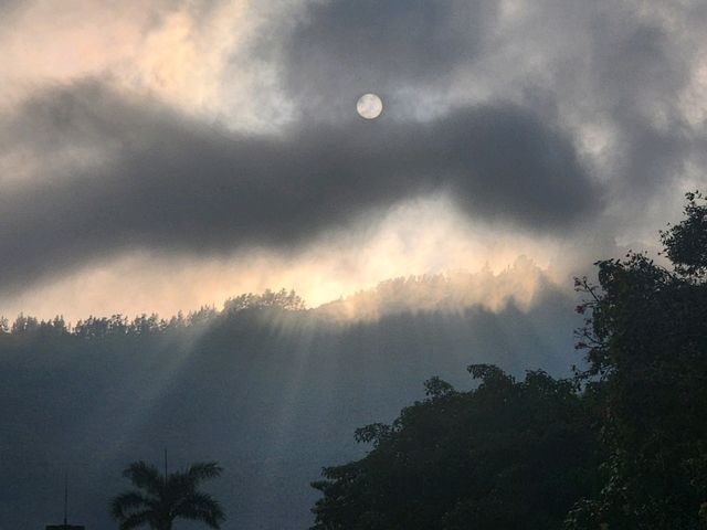 🎐遠離煩囂!迪欣湖讓你擁抱大自然🌳🌴🖼 🎐遠離煩囂!迪欣湖讓你擁抱大自然🌳🌴🖼